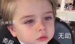 娱乐圈爆料网图表情包图片,网图表情包背后的明星故事